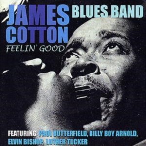 Cotton James - Feelin? Good in the group CD / Pop-Rock at Bengans Skivbutik AB (1266486)