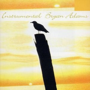Instrumental Bryan Adams - Instrumental Bryan Adams in the group CD / Pop-Rock at Bengans Skivbutik AB (1267011)