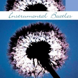 Instrumental The Beatles - Instrumental The Beatles in the group CD / Pop-Rock at Bengans Skivbutik AB (1267012)
