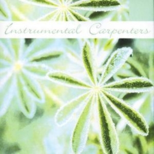 Instrumental Carpenters - Instrumental Carpenters in the group CD / Pop-Rock at Bengans Skivbutik AB (1267013)