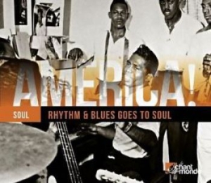 Blandade Artister - America! Vol.12 Rhythm And Blues in the group CD / Rock at Bengans Skivbutik AB (1273302)