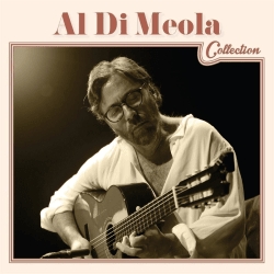 Di Meola Al - Al Di Meola Collection in the group CD / Bestsellers at Bengans Skivbutik AB (1273340)