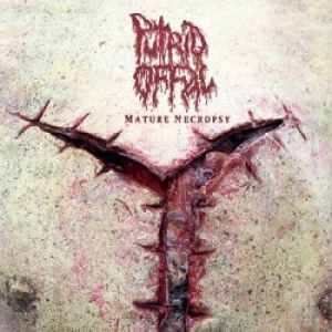 Putrid Offal - Mature Necropsy (2Cd) in the group CD / Hårdrock/ Heavy metal at Bengans Skivbutik AB (1288023)