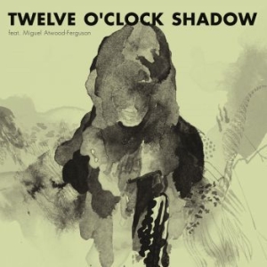 Flako - 12 O'clock Shadow in the group VINYL / Pop at Bengans Skivbutik AB (1288674)
