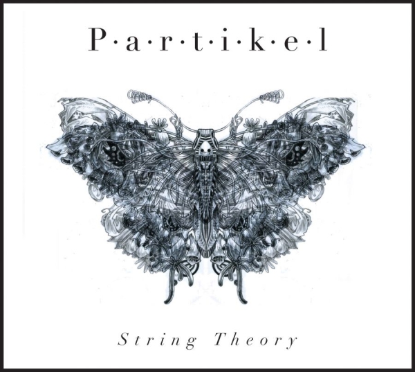 Partikel - String Theory in the group CD / Jazz/Blues at Bengans Skivbutik AB (1288736)