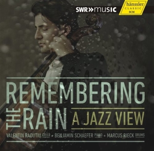Various Composers - Remembering The Rain - A Jazz View in the group CD / Klassiskt at Bengans Skivbutik AB (1313571)