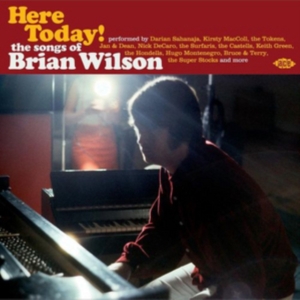 Various Artists - Here Today! The Songs Of Brian Wils in the group OTHER / Övrigt /  at Bengans Skivbutik AB (1336047)