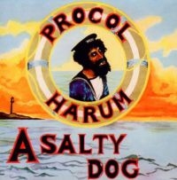 Procol Harum - A Salty Dog: 2Cd Deluxe Remastered in the group CD / Pop-Rock at Bengans Skivbutik AB (1401225)