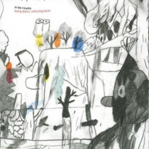 In The Country - Losing Stones, Collecting Bones in the group OTHER / Övrigt /  at Bengans Skivbutik AB (1475356)