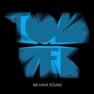 Vek Tom - We Have Sound (10Th Anniversary Ed. in the group VINYL / Dans/Techno at Bengans Skivbutik AB (1475435)