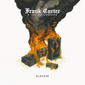 Carter Frank & The Rattlesnakes - Blossom in the group CD / Rock at Bengans Skivbutik AB (1479086)