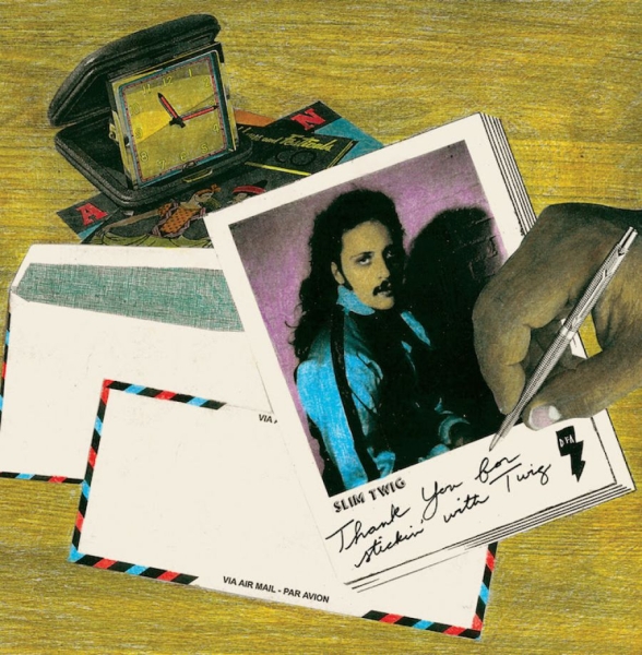 Slim Twig - Thank You For Stickin' With Twig in the group CD / Bestsellers at Bengans Skivbutik AB (1480058)
