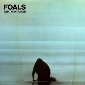 Foals - What Went Down in the group VINYL / Pop-Rock at Bengans Skivbutik AB (1485885)