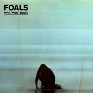 Foals - What Went Down in the group VINYL / Pop-Rock at Bengans Skivbutik AB (1485885)