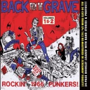 V/A - Back From The Grave Vol 1 & 2 - Vol 1 & 2 - Back From The Grave in the group CD / Rock at Bengans Skivbutik AB (1498227)