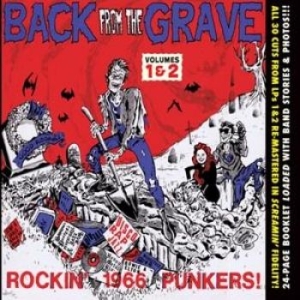 V/A - Back From The Grave Vol 1 & 2 - Vol 1 & 2 - Back From The Grave in the group CD / Pop-Rock at Bengans Skivbutik AB (1498227)