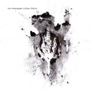 Telescopes - Hidden Fields in the group CD / Rock at Bengans Skivbutik AB (1511243)