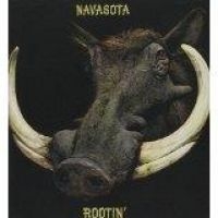 NAVASOTA - ROOTIN' in the group CD / Hårdrock,Pop-Rock at Bengans Skivbutik AB (1512372)