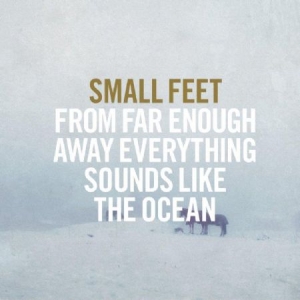 Small Feet - From Far Enough Away Everything Sou in the group OUR PICKS / Blowout / Blowout-CD at Bengans Skivbutik AB (1515047)