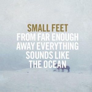 Small Feet - From Far Enough Away Everything Sou in the group CD / Rock at Bengans Skivbutik AB (1515047)