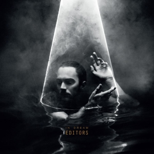Editors - In Dream in the group VINYL / Pop-Rock at Bengans Skivbutik AB (1515179)