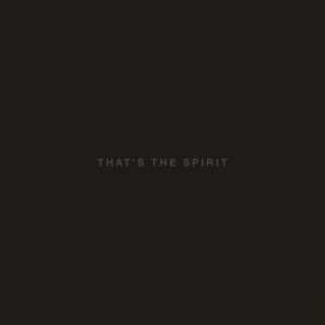 Bring Me The Horizon - That's The Spirit i gruppen VINYL / Hårdrock,Pop-Rock hos Bengans Skivbutik AB (1516634)