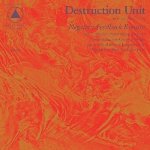Destruction Unit - Negative Feedback Resistor in the group CD / Pop-Rock at Bengans Skivbutik AB (1517093)
