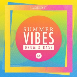 Blandade Artister - Summer Vibes: Drum & Bass - Mixed B in the group CD / Pop at Bengans Skivbutik AB (1525657)