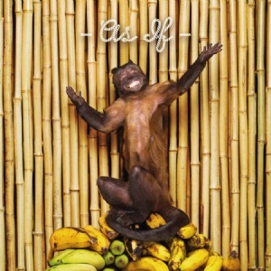 !!! (Chk Chk Chk) - As If in the group CD / Pop-Rock at Bengans Skivbutik AB (1528640)