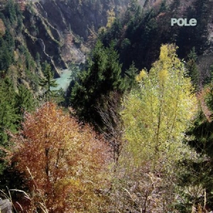 Pole - Wald in the group CD / Pop at Bengans Skivbutik AB (1528684)