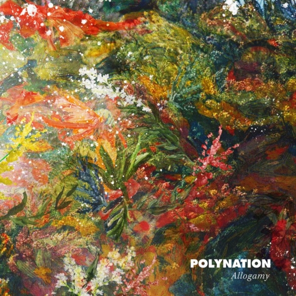 Polynation - Allogamy in the group VINYL / Rock at Bengans Skivbutik AB (1532924)