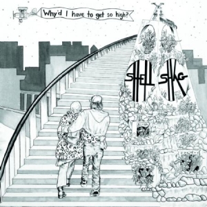 Shellshag - Why'd I Have To Get So High? in the group VINYL / Pop-Rock at Bengans Skivbutik AB (1541534)