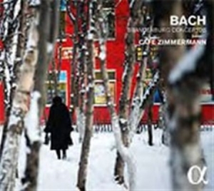 Bach J S - Brandenburg Concertos in the group CD / Övrigt at Bengans Skivbutik AB (1551605)