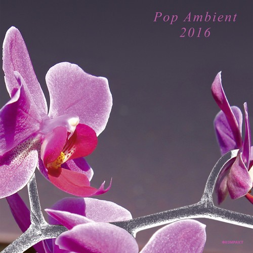 Blandade Artister - Pop Ambient 2016 (Inkl.Cd) in the group OTHER / Övrigt / at Bengans Skivbutik AB (1551737)