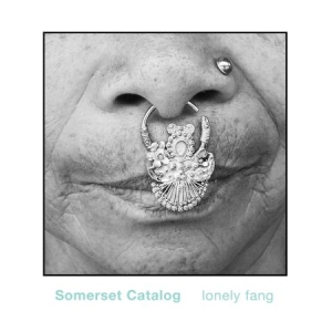 Somerset Catalog - Lonely Fang in the group VINYL / Rock at Bengans Skivbutik AB (1555543)