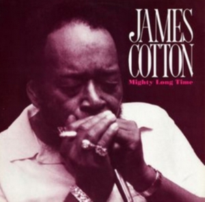 Cotton James - Mighty Long Time in the group CD / Blues,Jazz at Bengans Skivbutik AB (1570470)