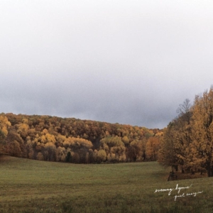 Evening Hymns - Quiet Energies in the group CD / Pop-Rock at Bengans Skivbutik AB (1705274)