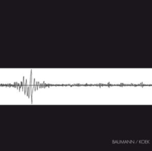 Baumann/Koek - Baumann/Koek in the group VINYL / Pop-Rock at Bengans Skivbutik AB (1707918)