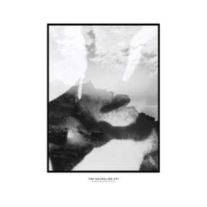 Hippo Campus - Halocline Eps in the group CD / Dance-Techno at Bengans Skivbutik AB (1713355)