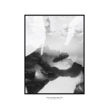 Hippo Campus - Halocline Eps in the group CD / Bestsellers at Bengans Skivbutik AB (1713355)