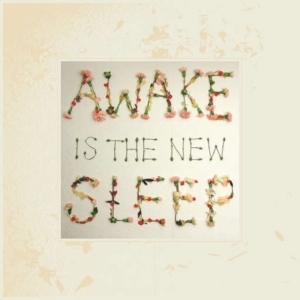 Lee Ben - Awake Is The New Sleep in the group VINYL / Pop-Rock at Bengans Skivbutik AB (1721211)