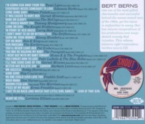 Various Artists - Mr Success: The Bert Berns Story Vo in the group CD / Pop-Rock at Bengans Skivbutik AB (1734976)
