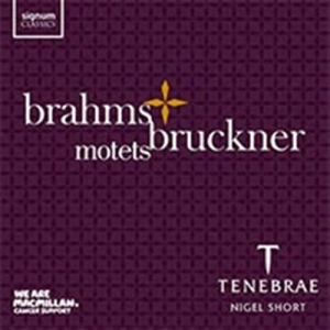 Brahms / Bruckner - Motets in the group CD / Klassiskt at Bengans Skivbutik AB (1740164)