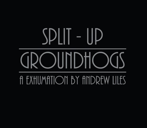 Liles Andrew - Groundhogs/Split Up in the group CD / Rock at Bengans Skivbutik AB (1788361)