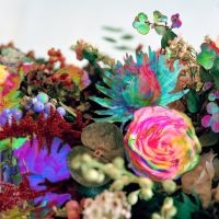 Darkstar - News From Nowhere (2Lp) in the group VINYL / Pop-Rock,Reggae at Bengans Skivbutik AB (1793952)