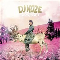 Dj Koze - Amygdala in the group VINYL / New releases / Pop-Rock at Bengans Skivbutik AB (1794036)