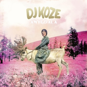 Dj Koze - Amygdala in the group VINYL / Pop-Rock at Bengans Skivbutik AB (1794036)