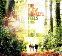 Blow Monkeys - Feels Like A New Morning in the group OTHER / MK Test 8 CD at Bengans Skivbutik AB (1796774)