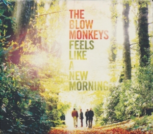 Blow Monkeys - Feels Like A New Morning in the group CD / Pop at Bengans Skivbutik AB (1796774)