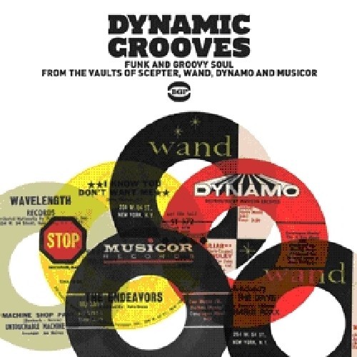 Various Artists - Dynamic Grooves in the group CD / RNB, Disco & Soul at Bengans Skivbutik AB (1810504)